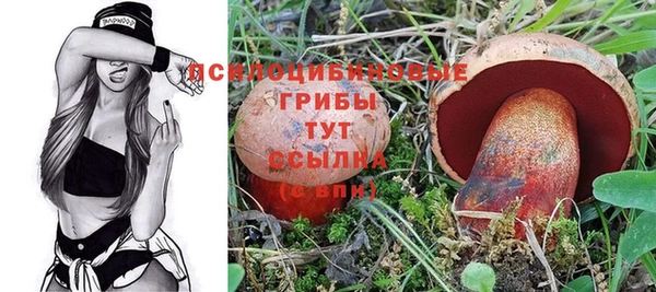 PSILOCYBIN Алзамай