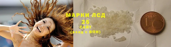 хмурый Алексин