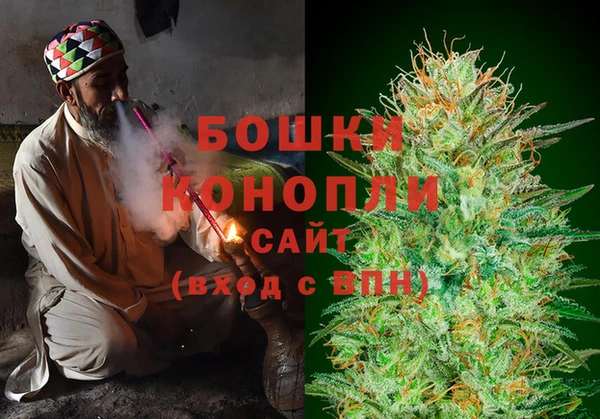 PSILOCYBIN Алзамай