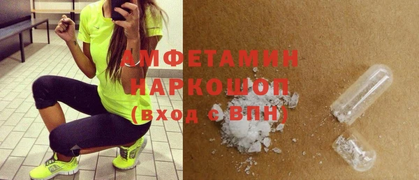 хмурый Алексин