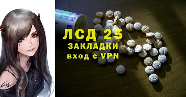 PSILOCYBIN Алзамай