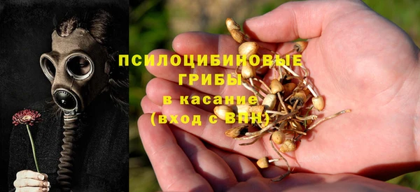 хмурый Алексин