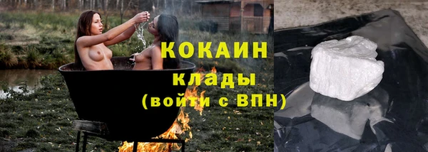PSILOCYBIN Алзамай