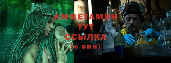 PSILOCYBIN Алзамай